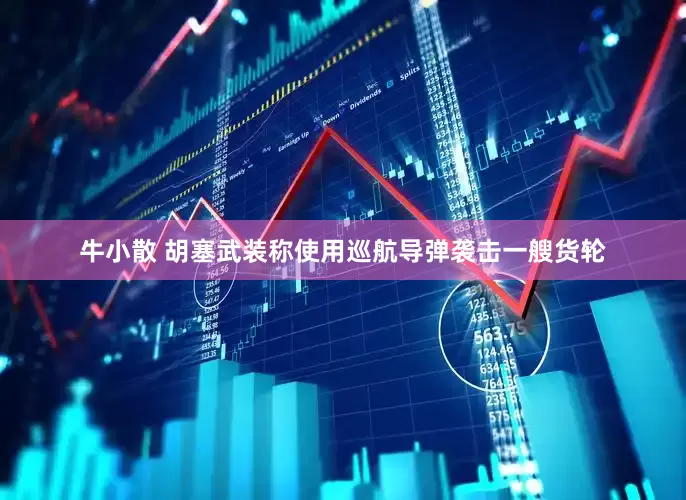 牛小散 胡塞武装称使用巡航导弹袭击一艘货轮